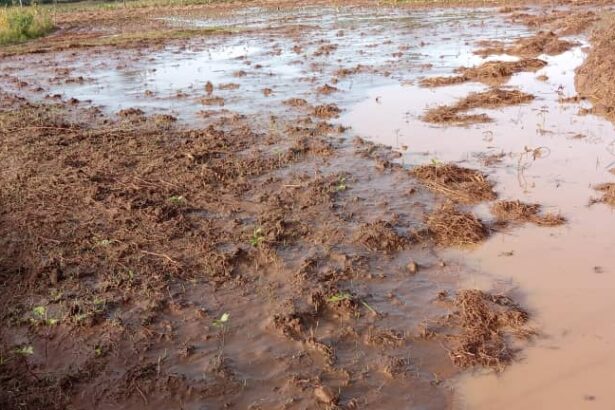 Sud-Kivu : Les déplacés aggravent la crise sanitaire à Katana