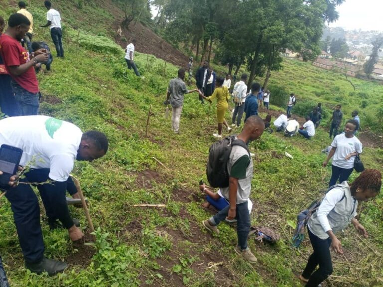 Bukavu : Le reboisement devient le dernier rempart contre les éboulements meurtriers à Kadutu