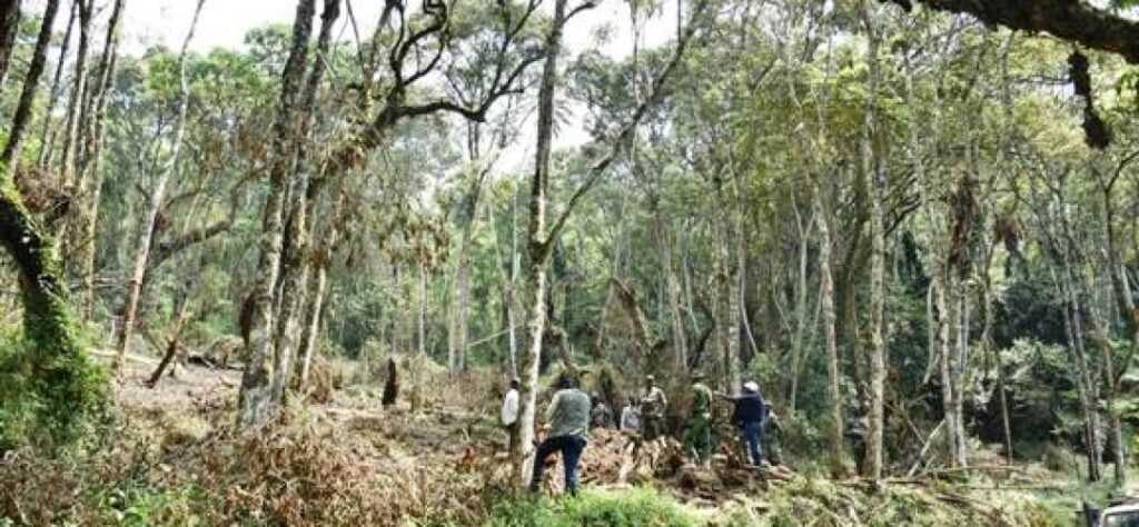 Parc National de Kahuzi Biega : Un patrimoine mondial en train de s’effondrer sous les pressions humaines et climatiques