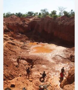 Mudusa : l’environnement au bord du gouffre à Kalangwe et Nyangulube