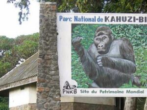Sud-Kivu : Le Parc de Kahuzi-Biega modernise la gestion des tensions entre communautés et faune sauvage