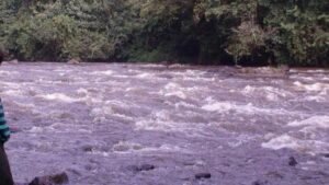 Sud-Kivu : une ONG alerte sur l’impact des activités minières sur les rivières de Mwenga