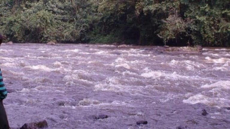 Sud-Kivu : une ONG alerte sur l’impact des activités minières sur les rivières de Mwenga