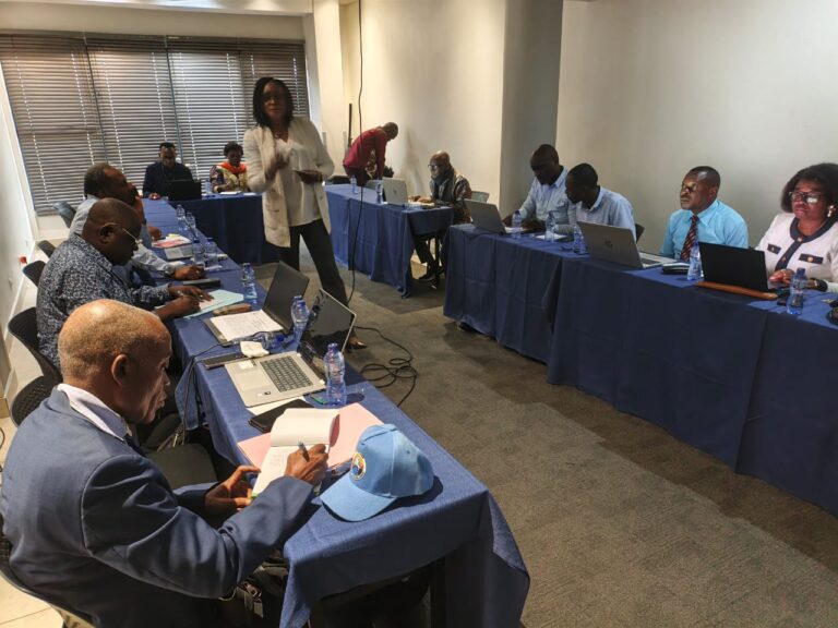 Nutrition maternelle : le PRONANUT, l’ANUDICO et d’autres partenaires en réunion pour accélérer l’inscription des MMS sur la liste des médicaments essentiels en RDC